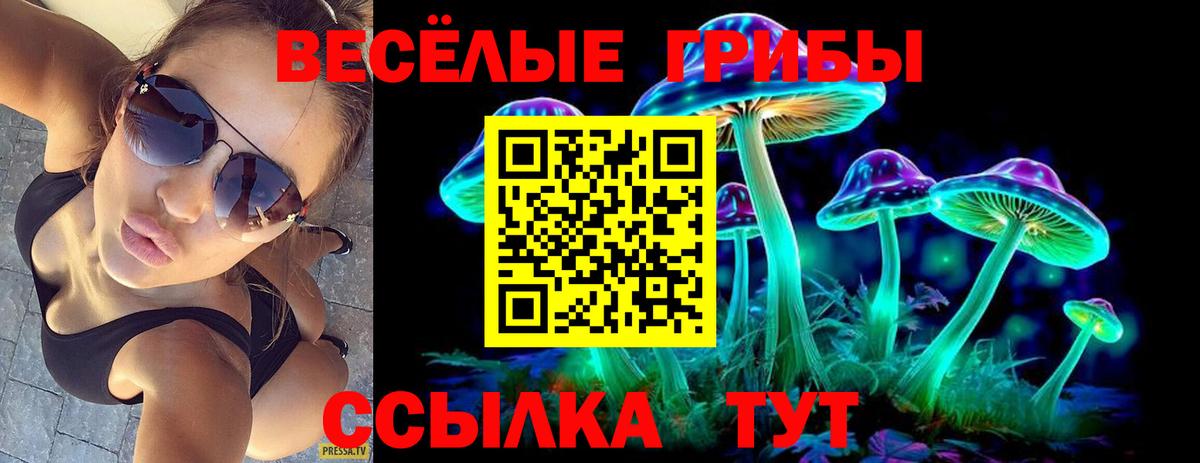 Псилоцибиновые грибы MAGIC MUSHROOMS  купить наркотики цена  Галлюциногенные грибы Psilocybine cubensis  Улан-Удэ  Вход с VPN 
